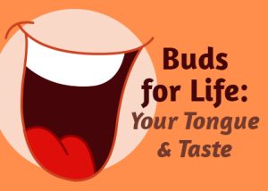 Pineville dentist, Dr. Jonas Gauthier at Today's Dental, takes a moment to talk about what’s responsible for your love and dislike of certain foods: taste buds!